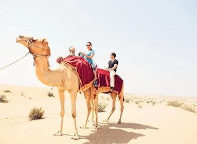 Rajasthan Camel Safari Tours