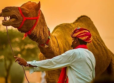 Why the Golden Triangle by Car Is Better Than Flights or Trains