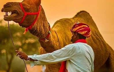 Why the Golden Triangle by Car Is Better Than Flights or Trains
