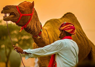 Why the Golden Triangle by Car Is Better Than Flights or Trains